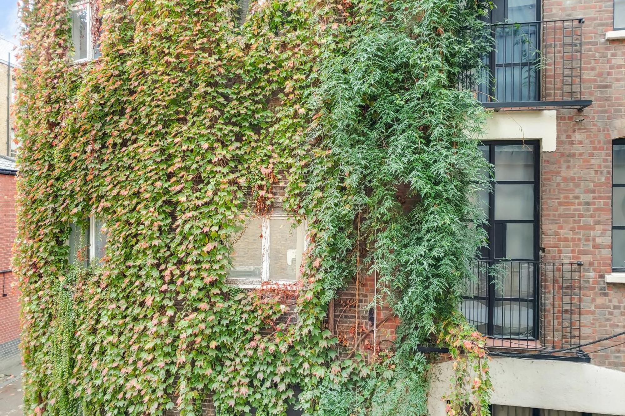 The Borough Collection Near Bridge And Borough Market - By Short Stories